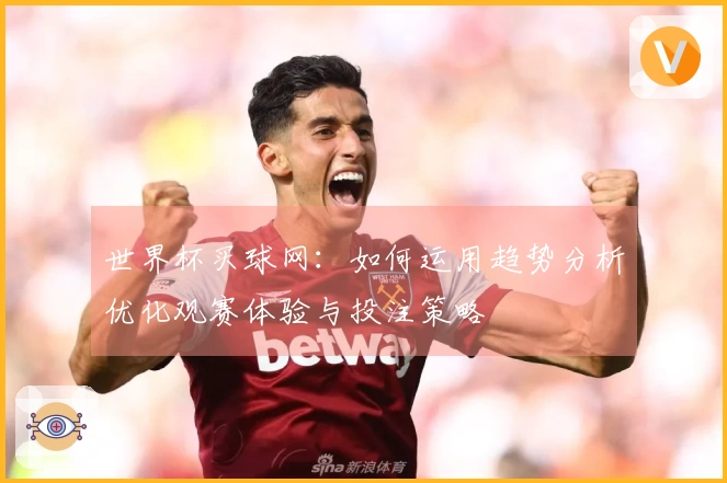 世界杯买球网：如何运用趋势分析优化观赛体验与投注策略