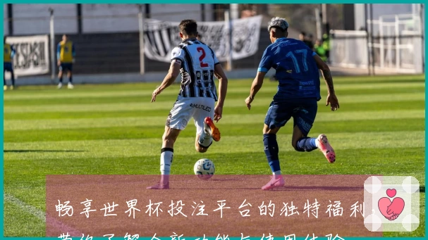 畅享世界杯投注平台的独特福利，带你了解全新功能与使用体验