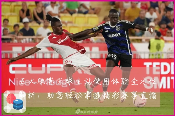 五大联赛买球主站使用体验全方位解析，助您轻松掌握精彩赛事直播入口与核心功能
