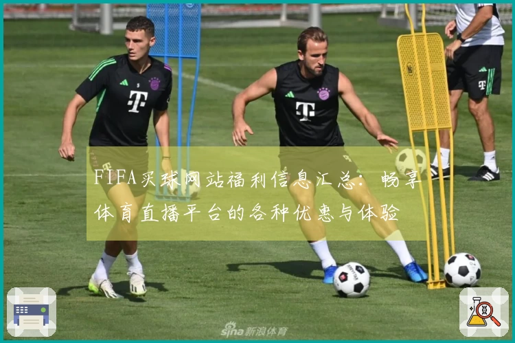 FIFA买球网站福利信息汇总：畅享体育直播平台的各种优惠与体验